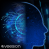 VEESION