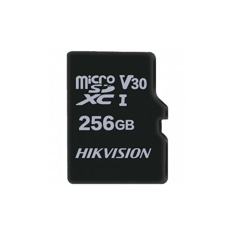 HS-TF-M1STD-256G-V2