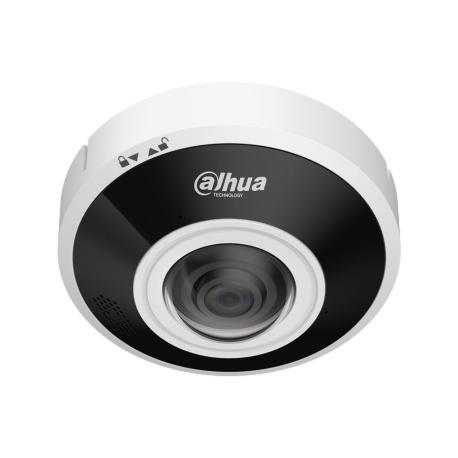 DH-IPC-EBW5641P-AS