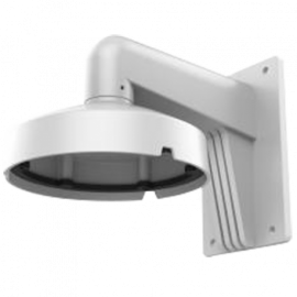 DS-1273ZJ-DM25(M1)