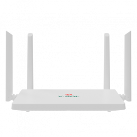HG5013-4G