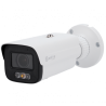 SF-IPB580ZA-4I1-SL