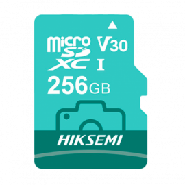HS-TF-D3STD/256G/NEO LUX/WW