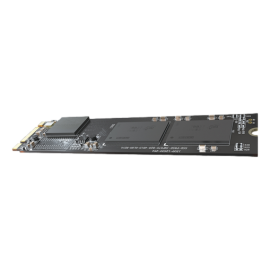 HS-SSD-E100NI-256G-2280