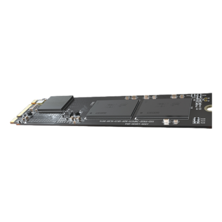 HS-SSD-E100NI-256G-2280
