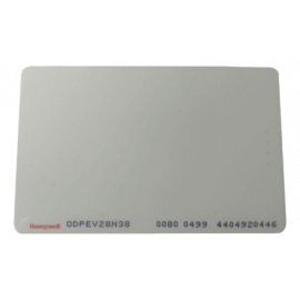 ODPEV28N38