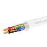 CA4P2-100-H-Cca-WHITE