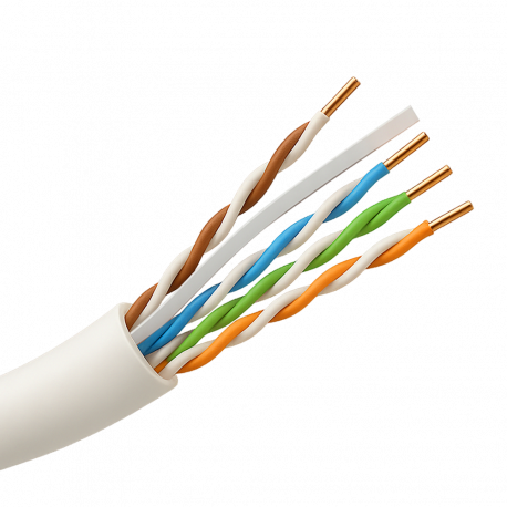 UTP6A-1000-LSZH-B2ca