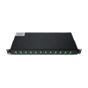 PP-FIBER-12-SC-APC